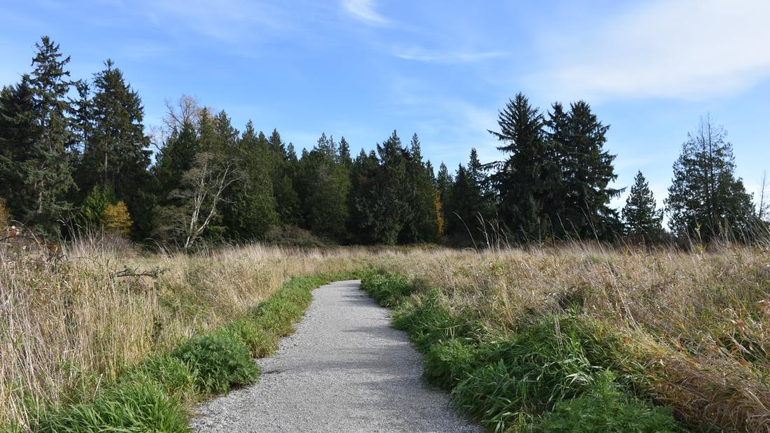 A gravel trail in a park.