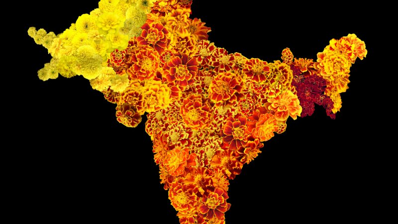 A map of India, Pakistan, and Bangladesh filled with marigolds of different shades ranging from yellow, orange, and red against a black background. 