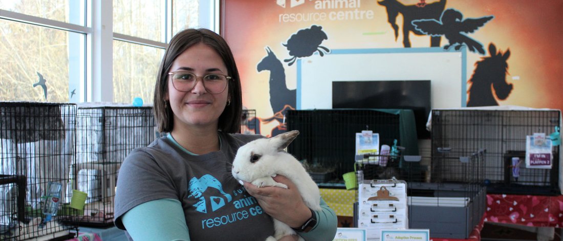 Volunteer at the shelter holding a rabbit