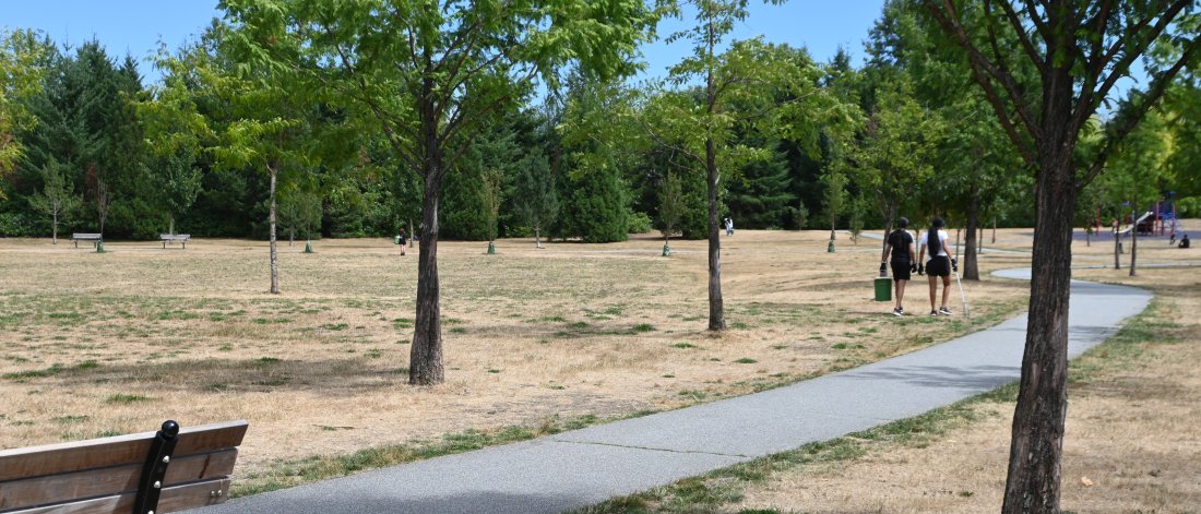 a path with two people in the distance participating in a park cleanup