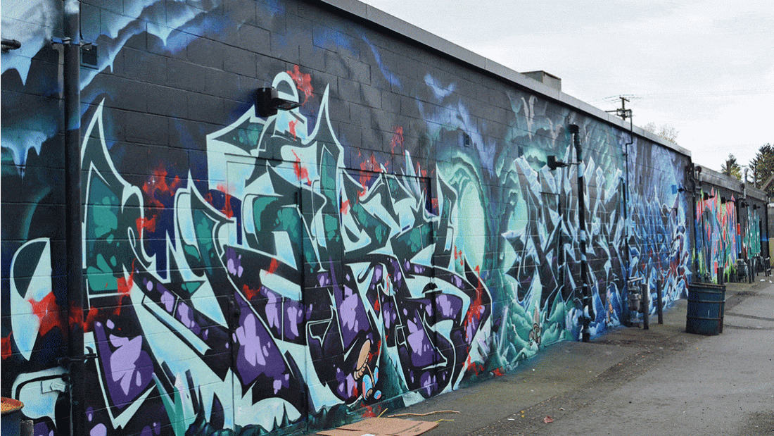 Newton Graffiti Wall Murals 