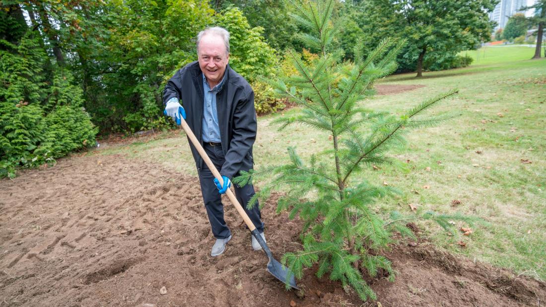 Mayor McCallum at Royal Kwantlen Park planting a tree