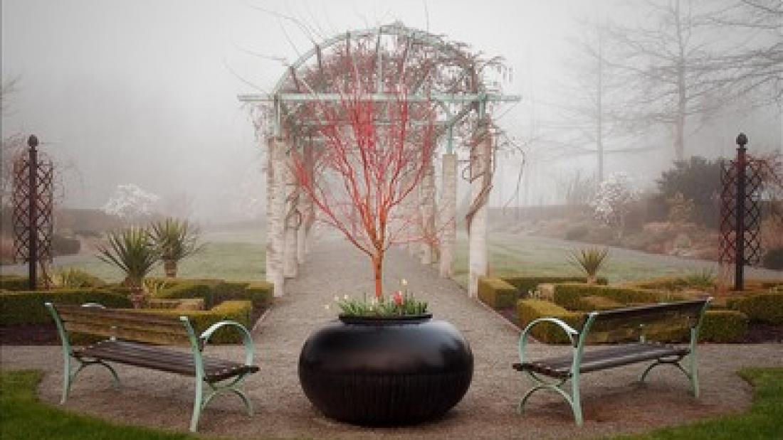 Foggy Day in Fleetwood Gardens