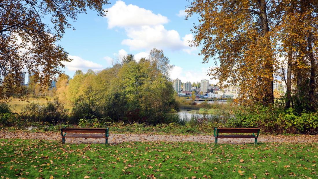Two park benches facing the river in the fall