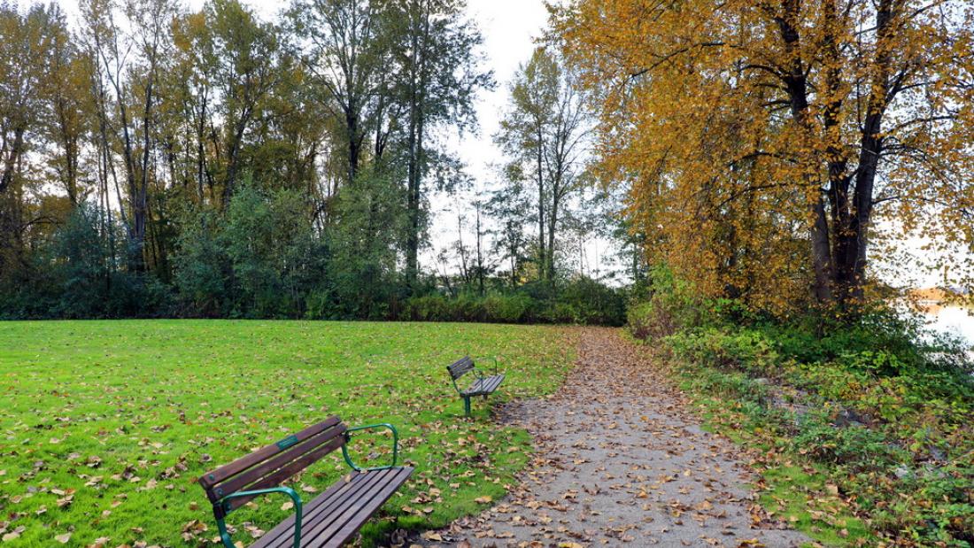 Two park benches with fall leaves 
