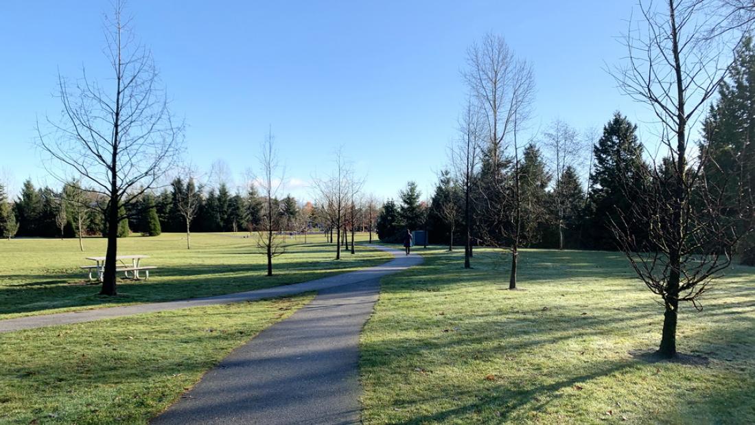 Paved path through a park
