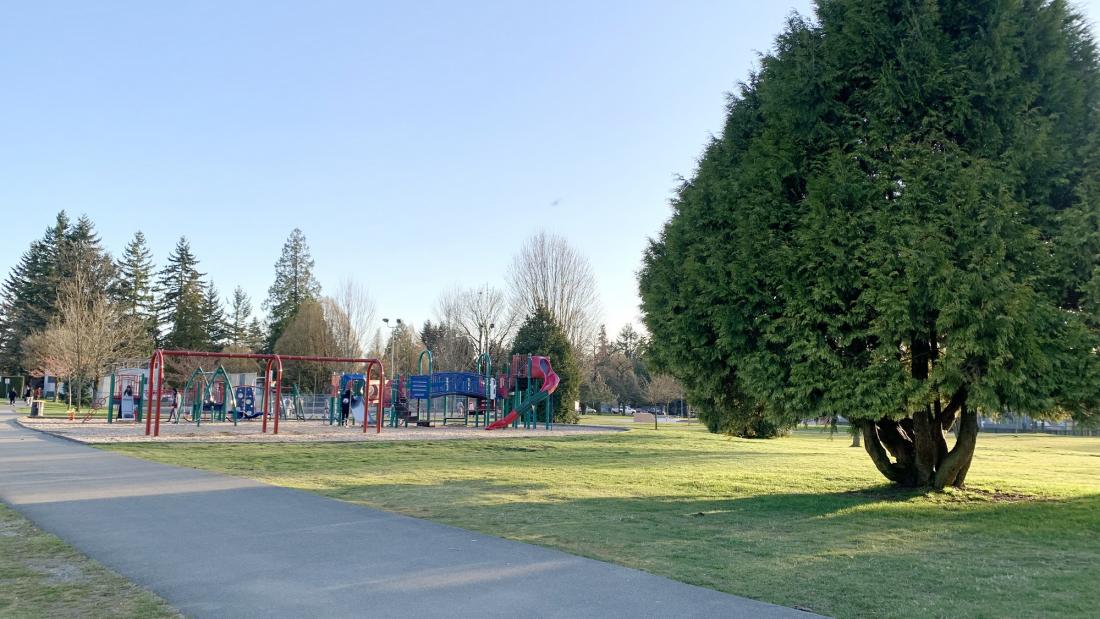 Tree and playground