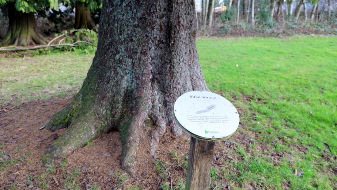 Sitka spruce sign