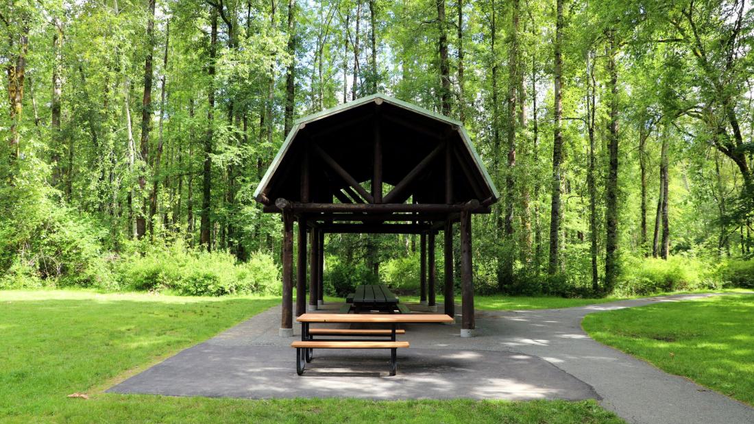A covered picnic table surrounded by trees and a paved path