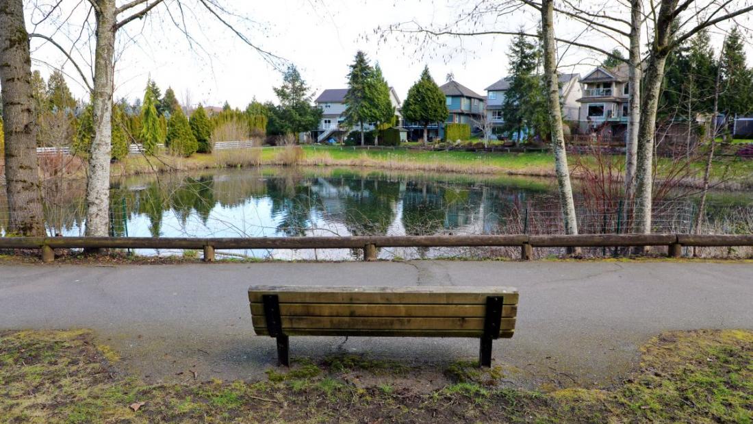 Empty bench looking at a pond