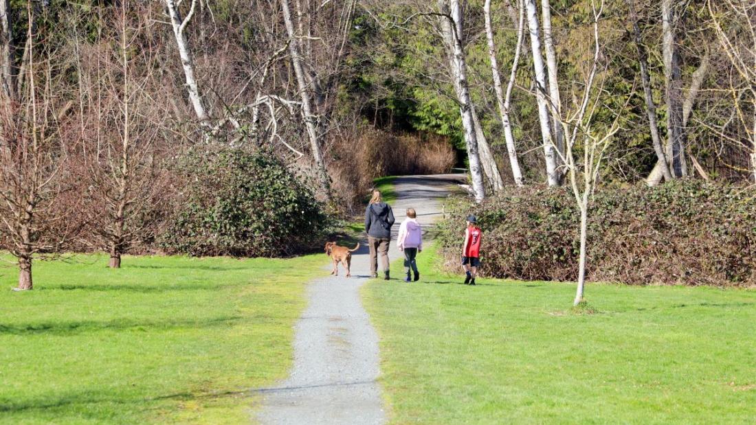 Three people walking a dog on a gravel path