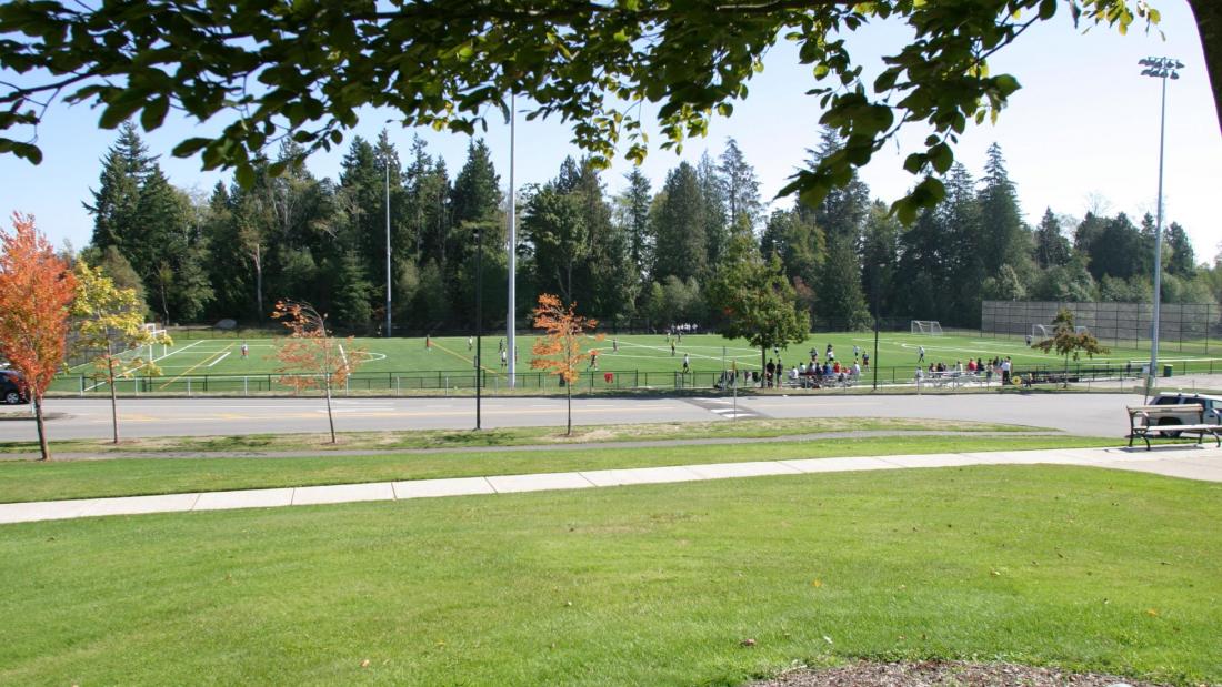 Sports field from a distance