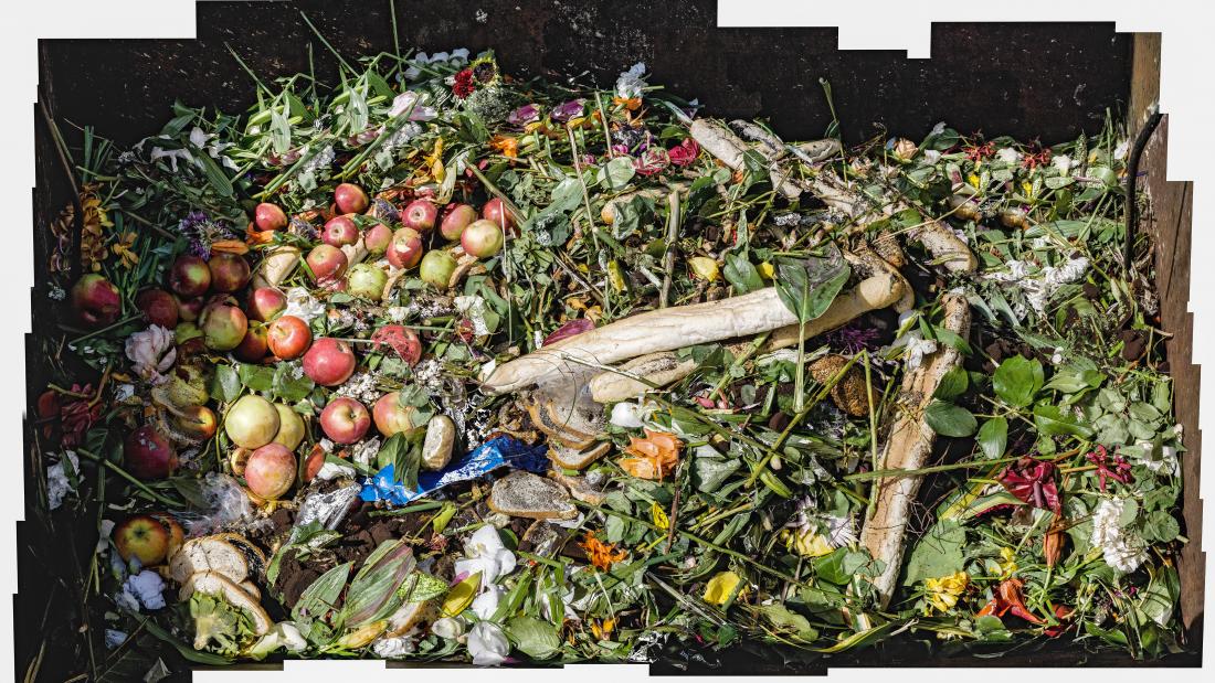 Close-up photograph of a compost bin showing fruits and vegetables.