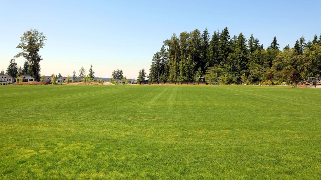 Large open grassy field