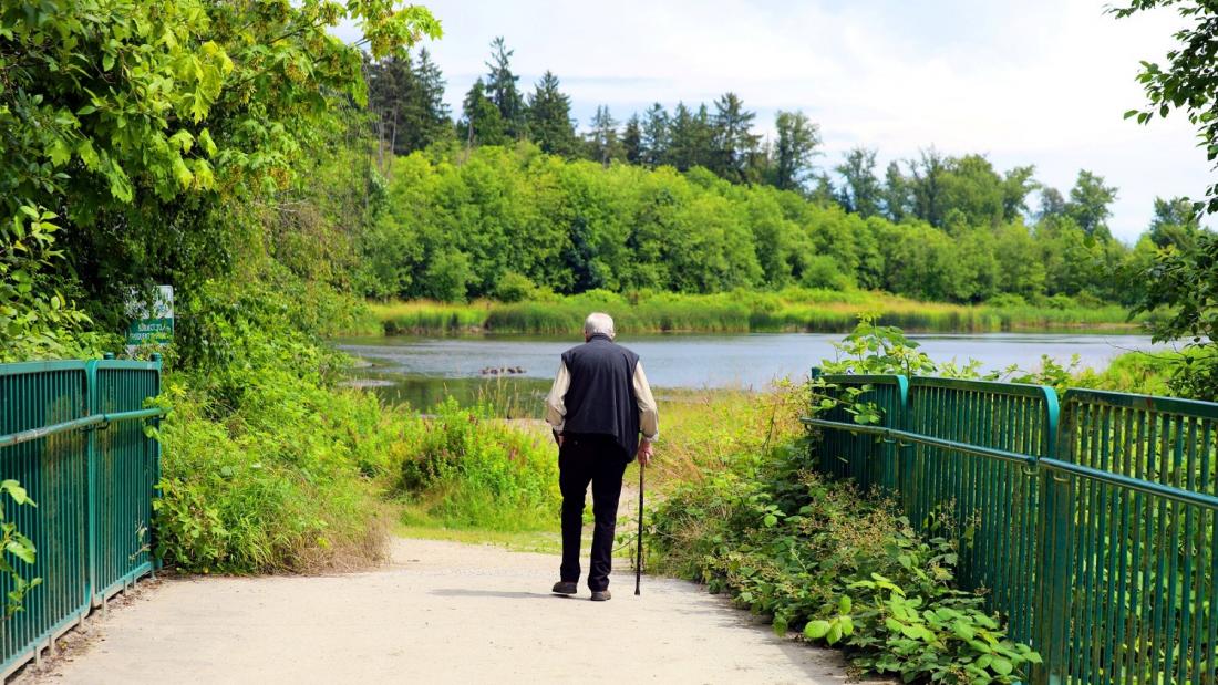 A senior man with a cane walks on a bridge near a lake