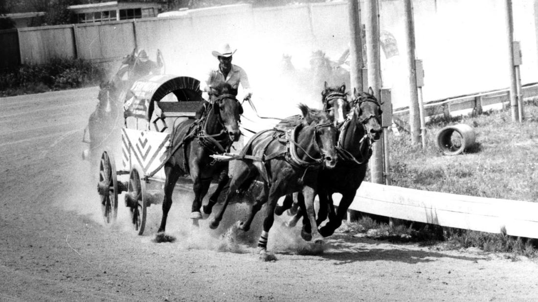 Chuckwagon Race at Cloverdale Rodeo, ca. 1960s. Courtesy of Surrey Archives, 40.2.75. 