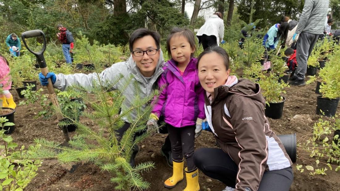 family with child planting small fir tree