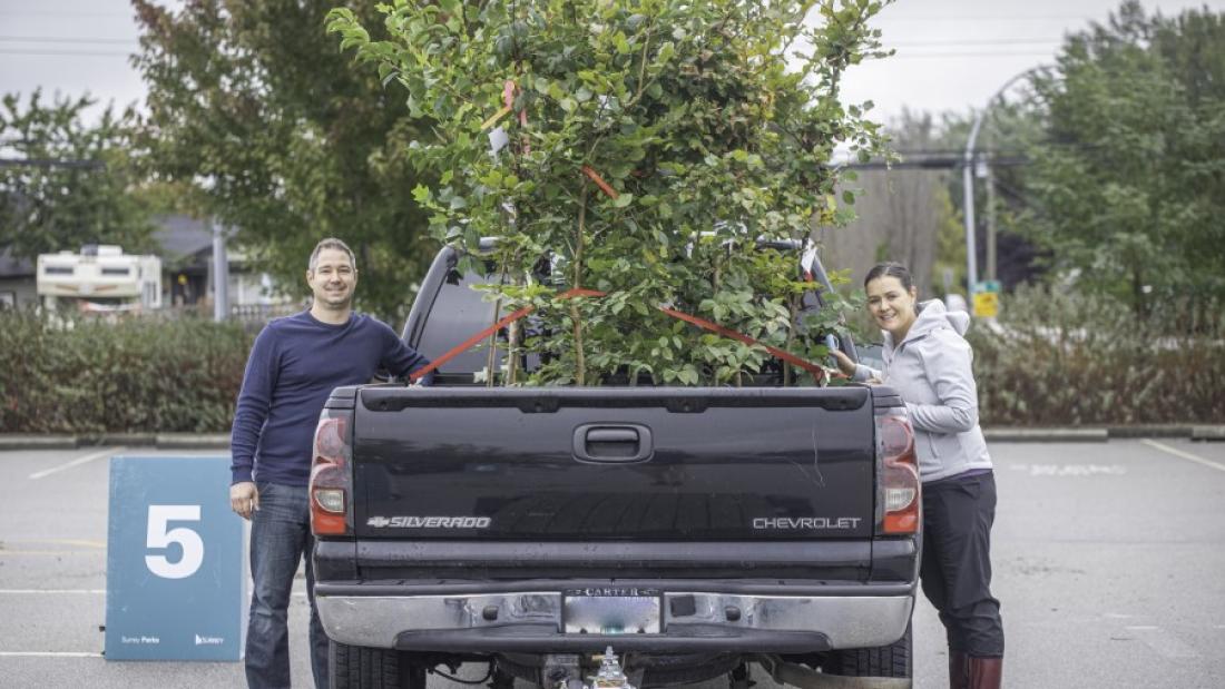 two residents picking up their tree in the back of their pickup truck