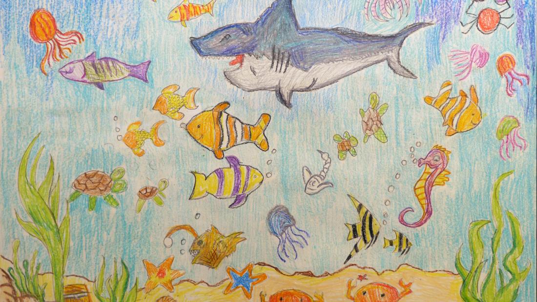 Colourful crayon drawing of a shark and various fish swimming in the sea
