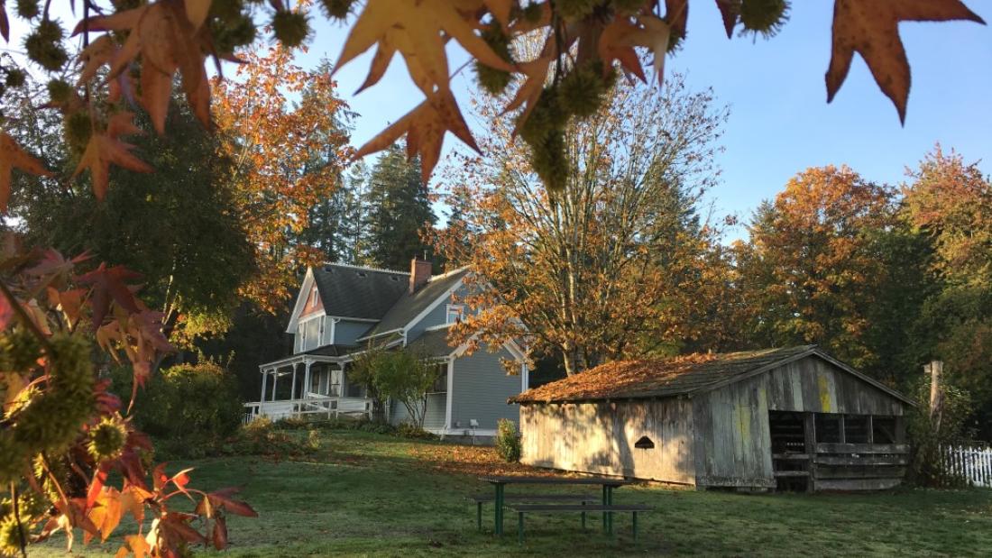 The farm grounds in fall