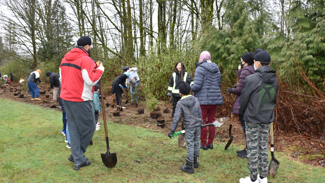 group of people planting trees and receiving instruction