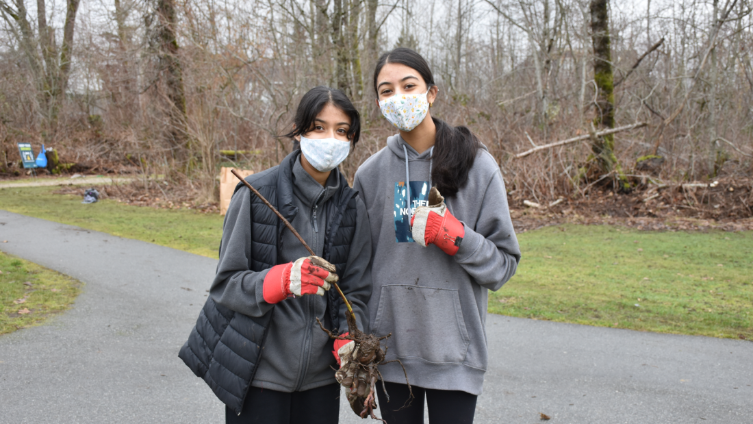 two volunteers with blackberry cane