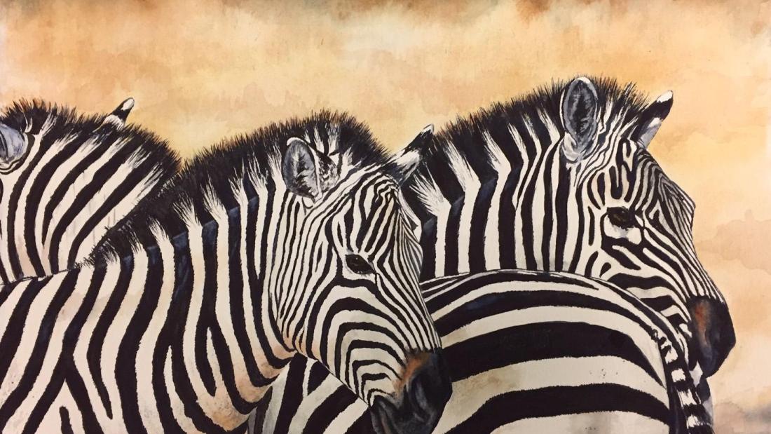 Watercolour painting of three zebras from the torso up on a sandy plain.