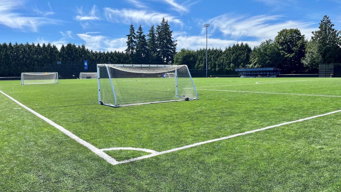 Artificial Turf Field with nets