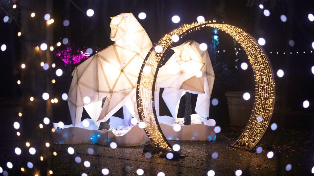 Illuminated bear statues behind archway