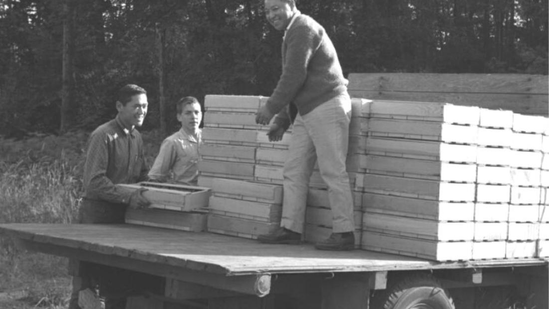 Three men unloading crates of strawberries in 1964