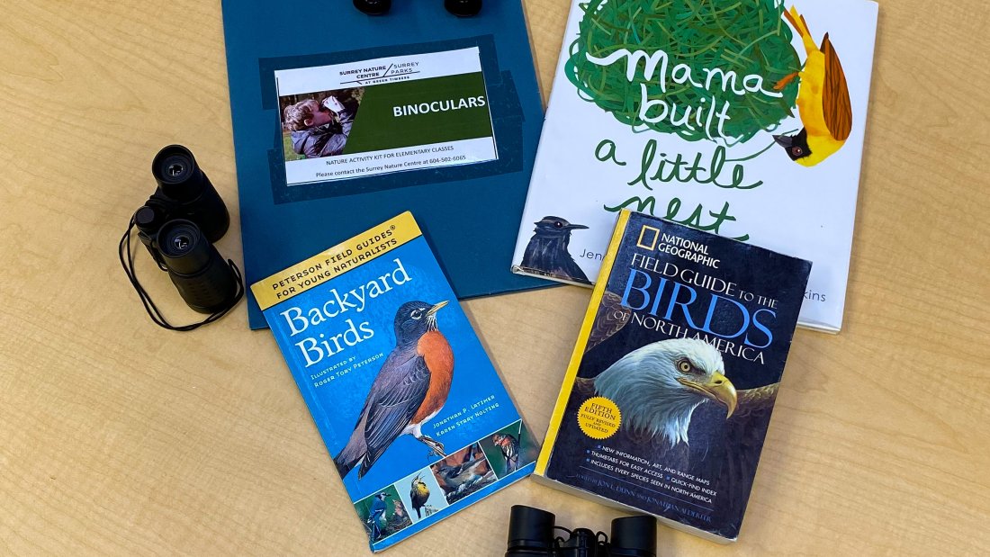 contents of binocular kit - guide books, binoculars, story books and directions