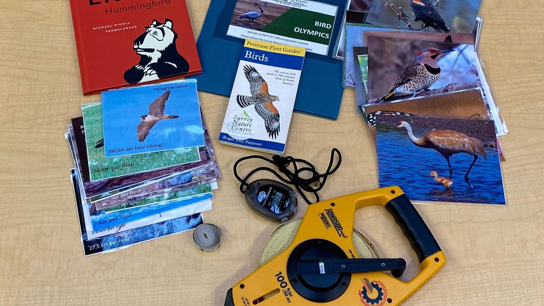 contents of bird olympics kit - tape measure, stop watch, guidebook, bird info