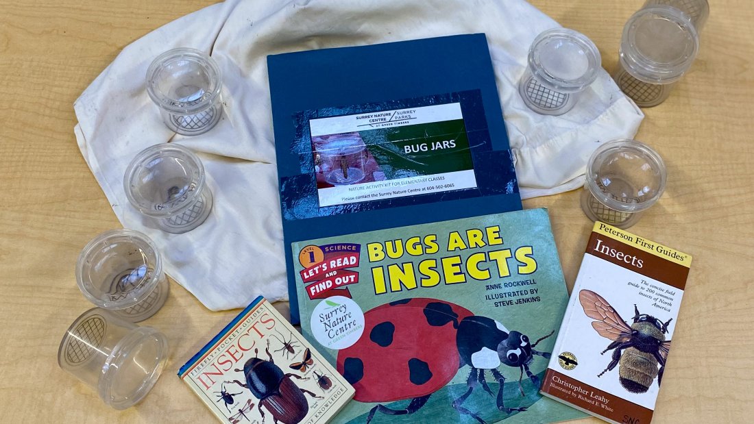 bug jar contents - guidebooks, bug jars, tree shake sheets and instructions