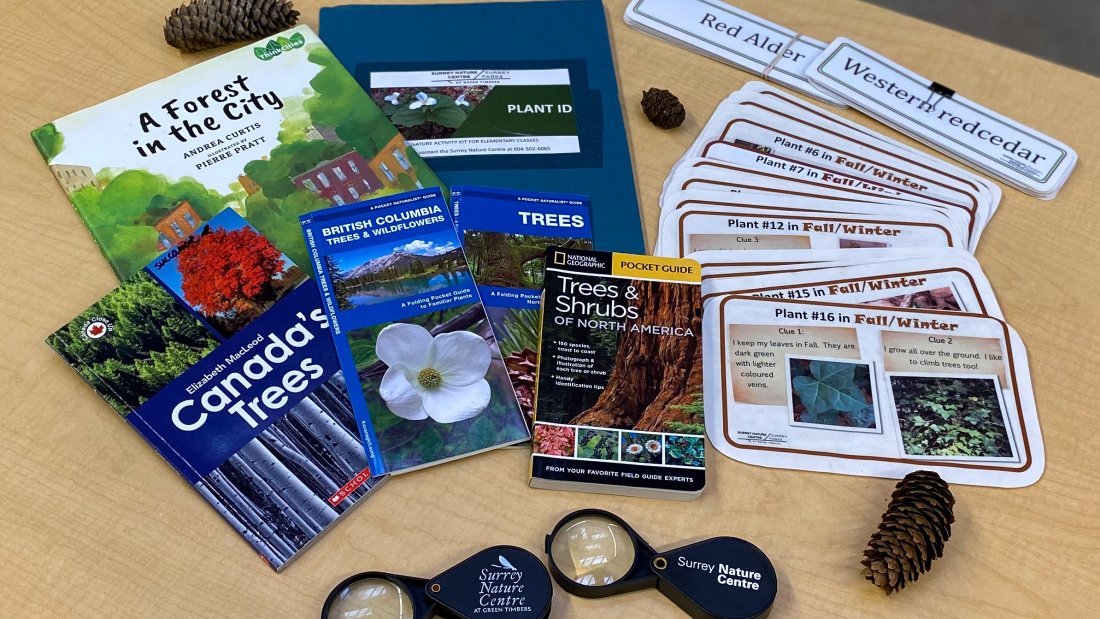 plant id kit contents: magnifying glasses, plant id cards, guidebooks, story books