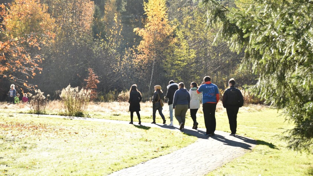 a group on a guided nature walk 