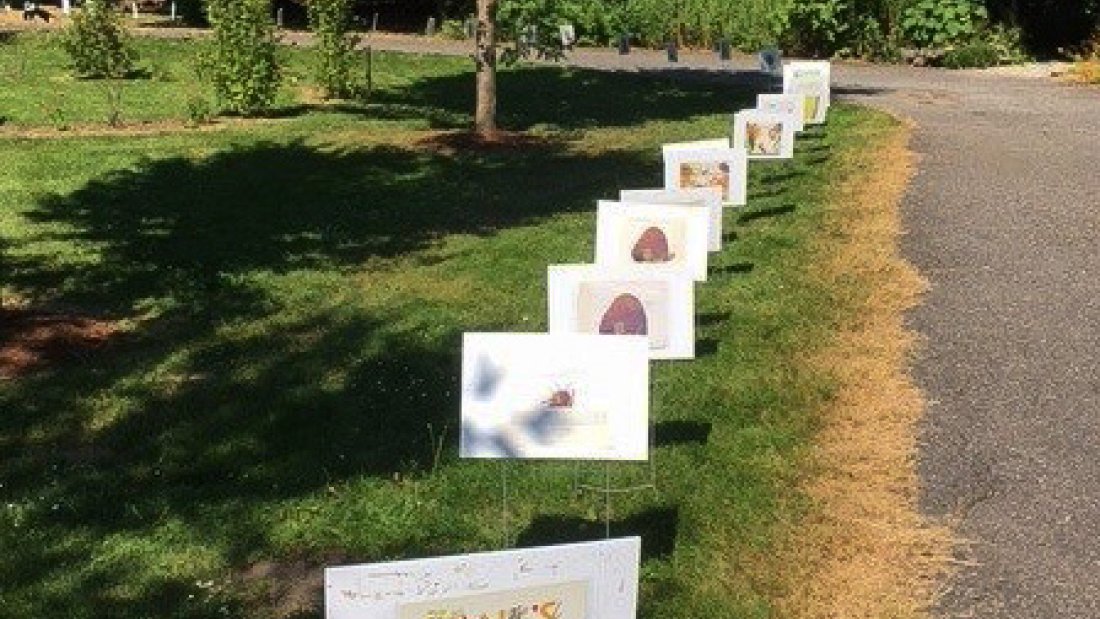 story trail at the surrey nature centre