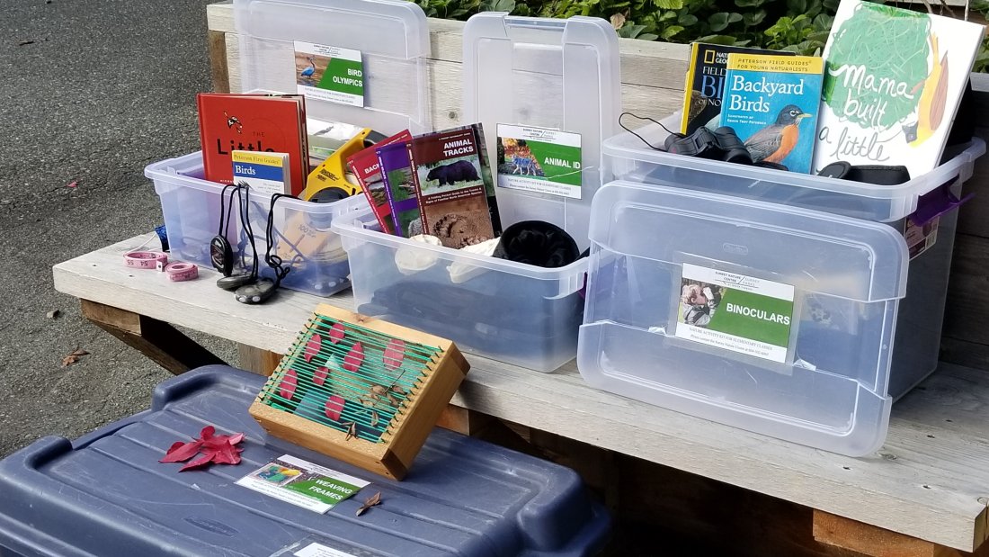teacher activity kits and their contents