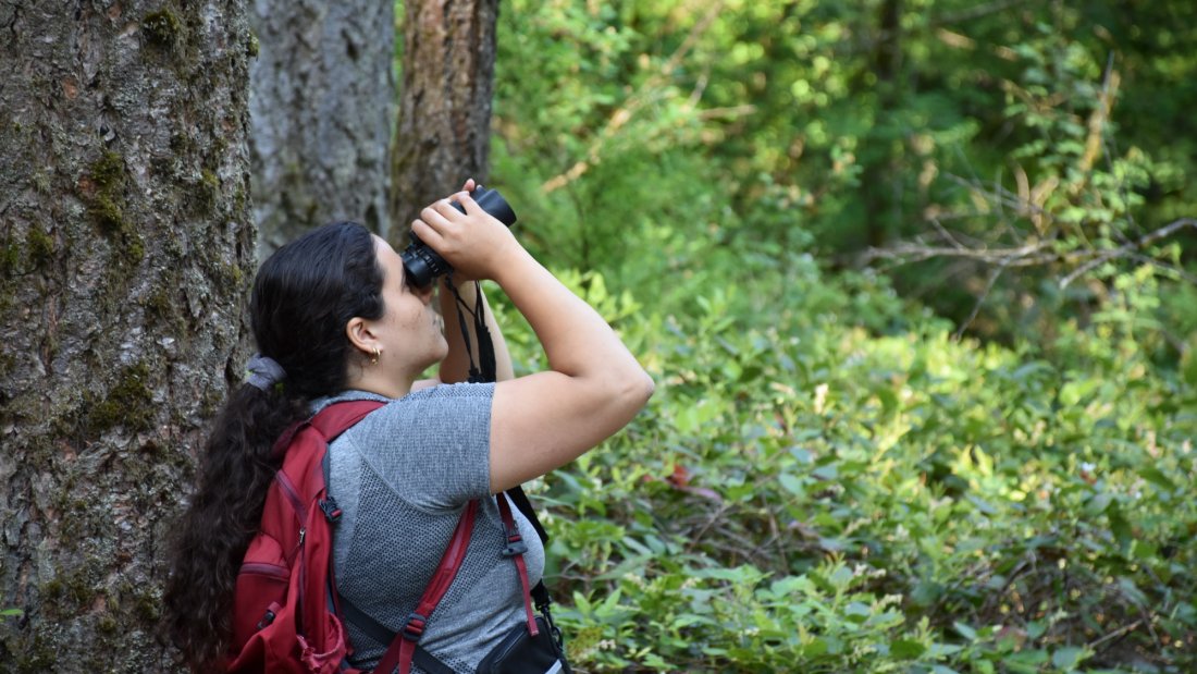 A woman looking up with binoculars in a forest