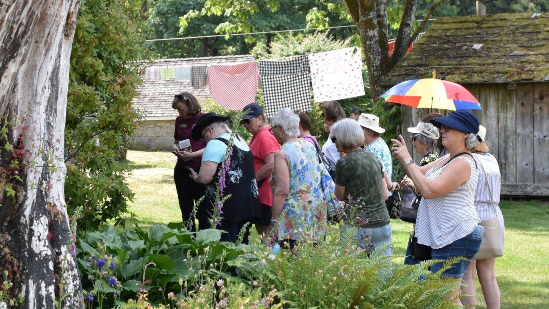 group of seniors looking at plants in a garden
