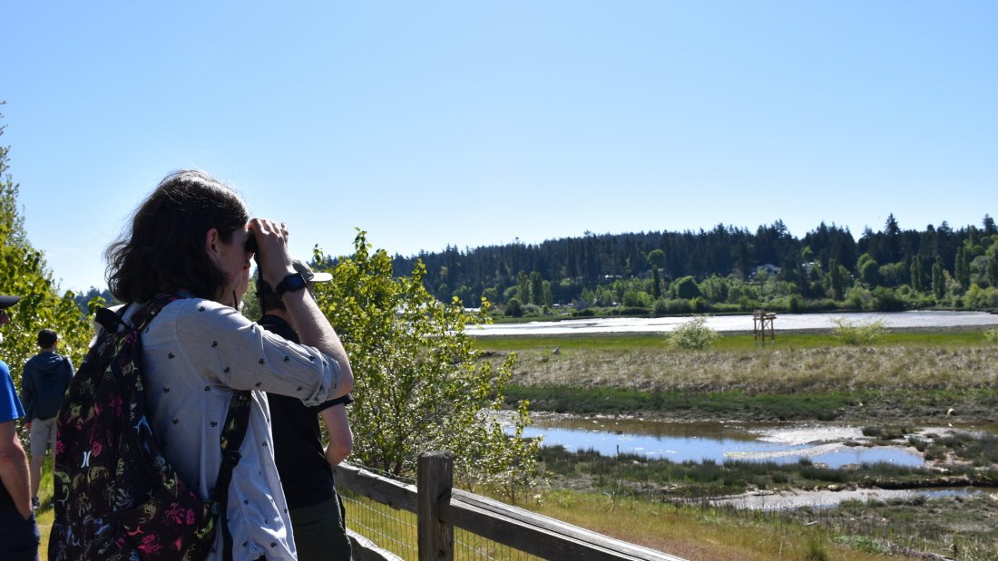 a person looking through binculars at a wetland