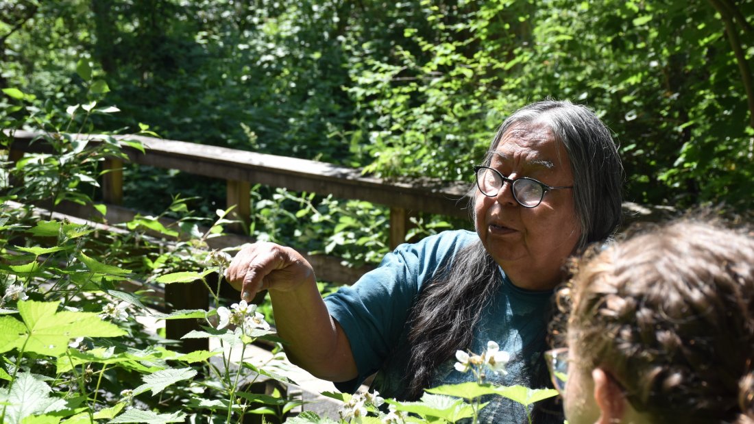 Indigenous elder pointing to a flower in a forest