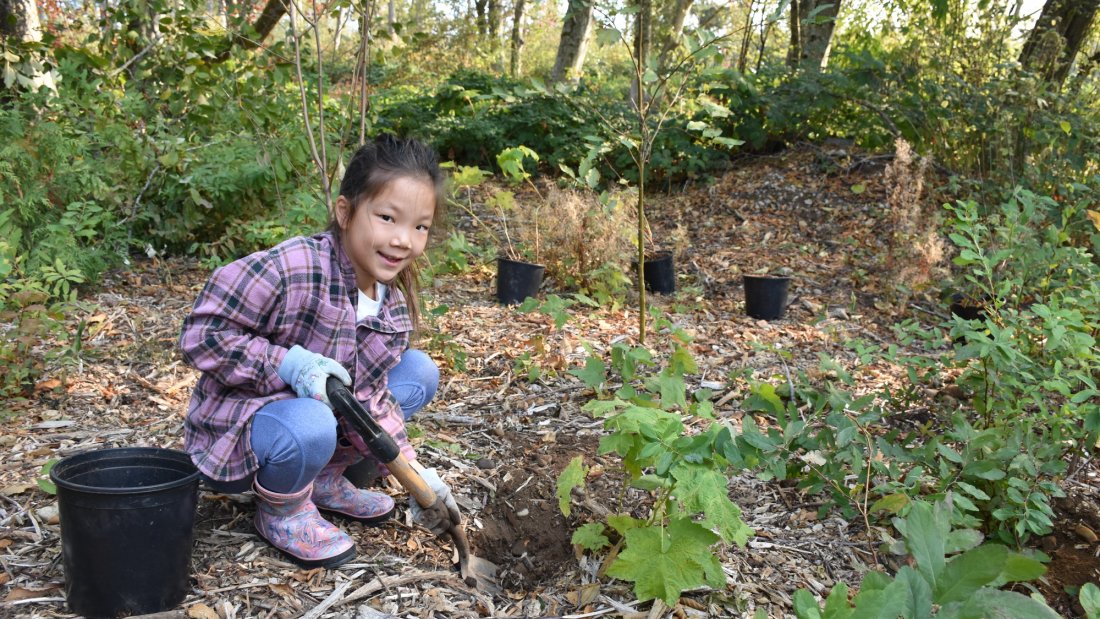 young child digging hole with shovel, with forest in background