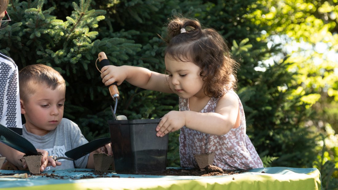 kids dig soil from a pot