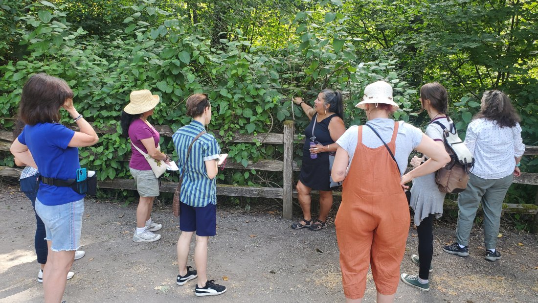 Size people gathered around one person in front of a fence and foliage.