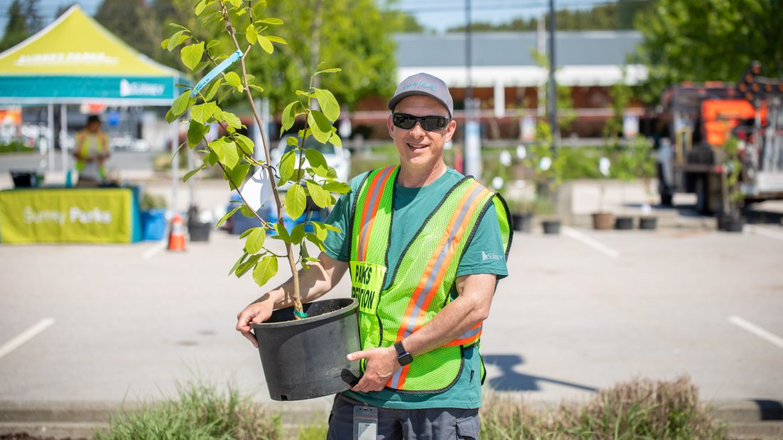 Man in vest holding a potted tree