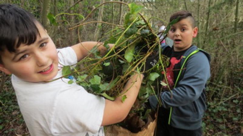 Kids Nature Work Party