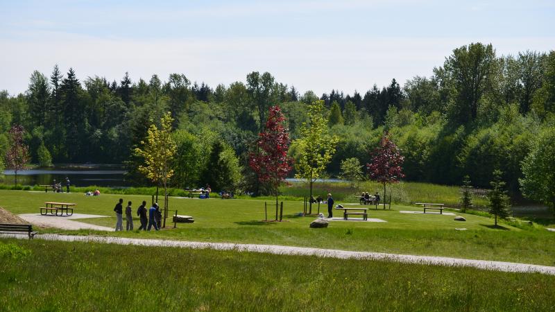 Picnic area with forest in the background