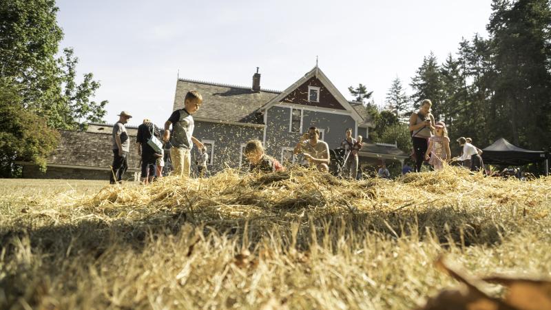 Children playing in hay