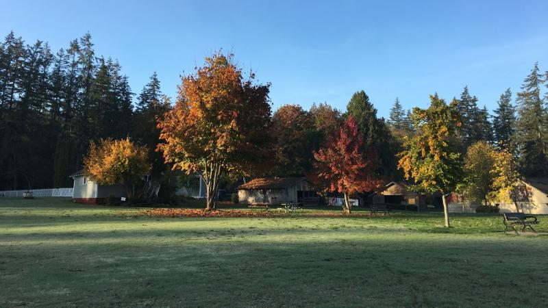 The farm in fall