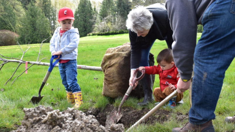 A parent helping their baby shovel dirt to plant a tree.